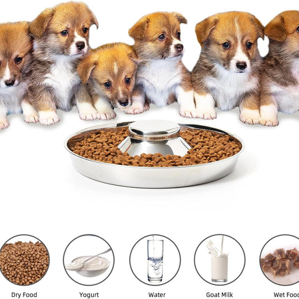 Stainless Steel Puppy Bowls, Set of 2 Puppy Feeder, Dog Food and Water Bowl, Food Feeding Weaning for Small Medium Large Dogs, Pets, M